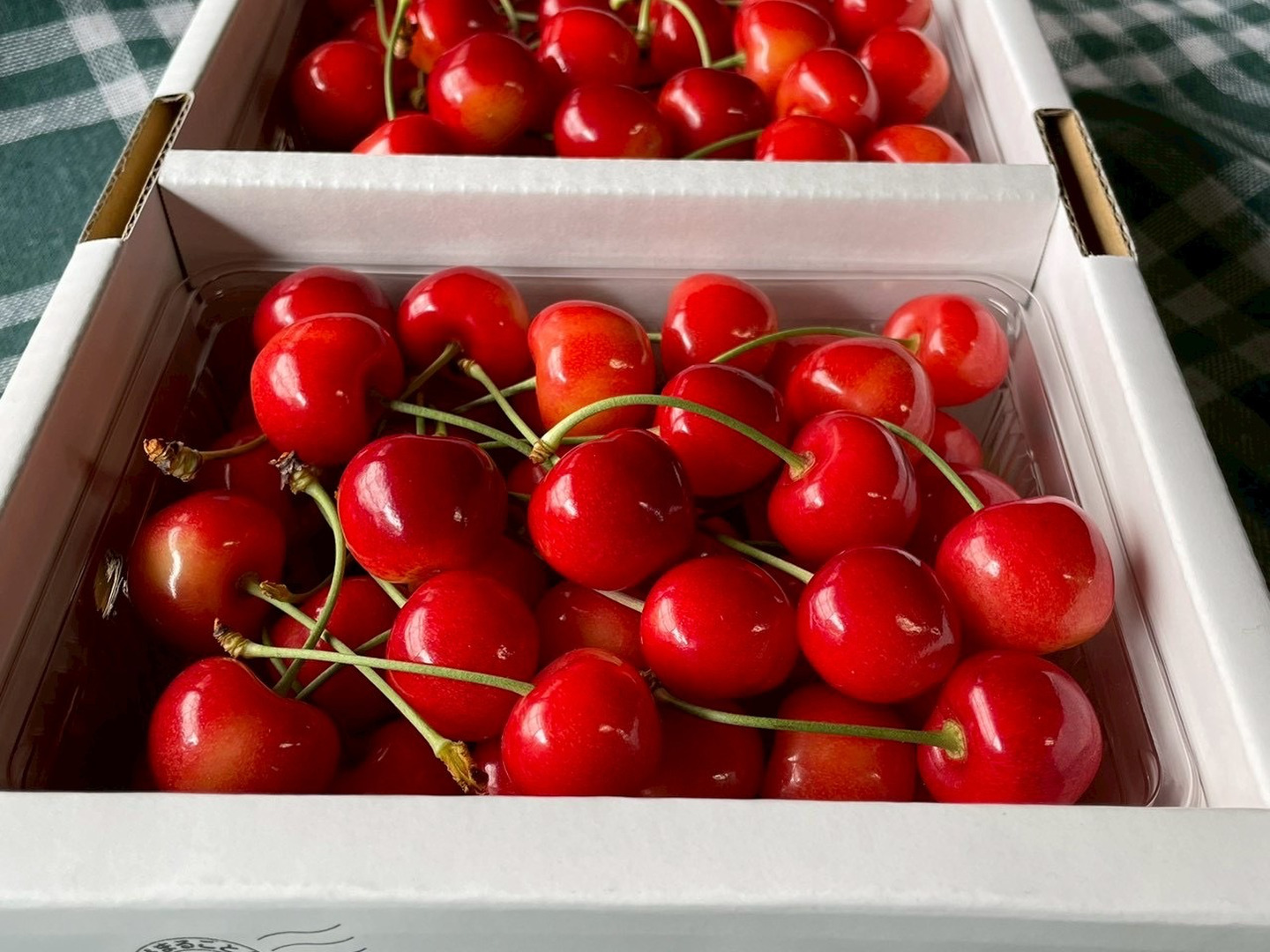 やまがた紅王🍒さくらんぼ新品種！パックバラ500g2Lサイズ：山形県産の