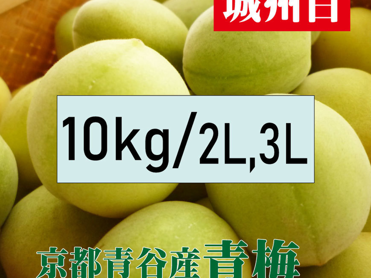 京都府産　青梅　10kg 本日午後とりたて 予約販売【青梅】京都青谷産「城州白」(10kg, 2L3L) 香りの良さ