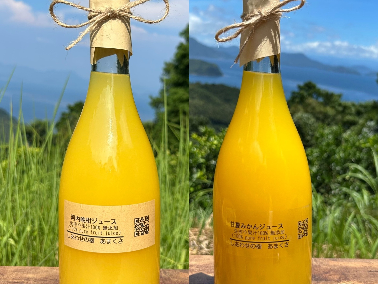 熊本県産 河内晩柑ストレートジュース 720ml×12本 熊本県産 河内晩柑ストレートジュース 720ml×12本 熊本県産 河内晩
