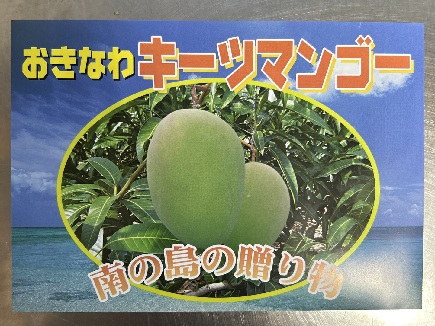 贈答用】沖縄県産キーツマンゴー 1.5kg（2~3玉）：沖縄県産の