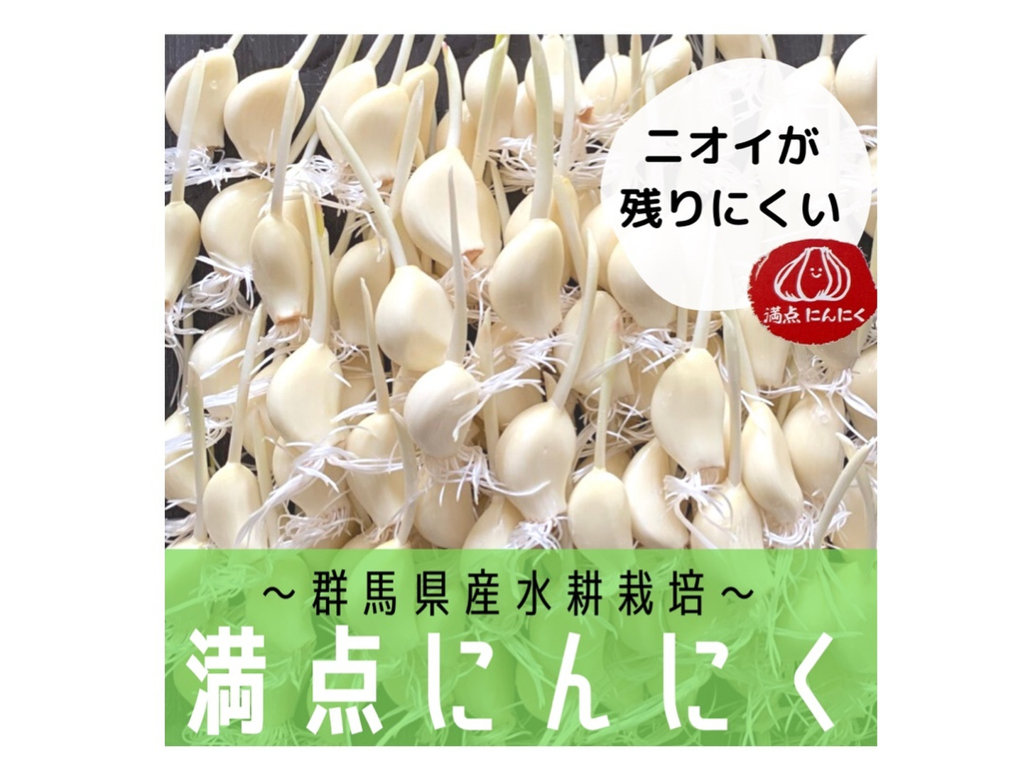 満点にんにく（発芽にんにく） | 野菜/にんにく 産直アウル 農家