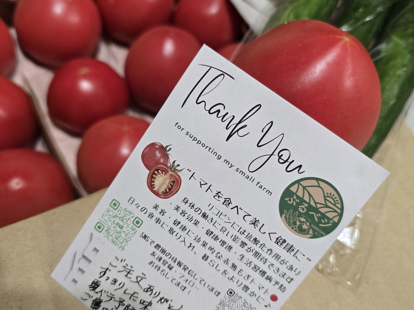 クール便》夏の王様トマト🍅赤熟もぎりの【麗月】小玉11玉詰め