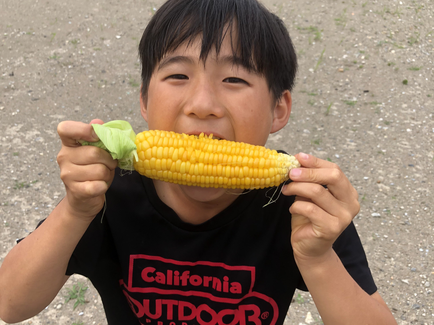 giam！　静岡県遠州森のとうもろこし10本 朝採り 産地直送 先行予約】静岡県森町産 遠州森のトウモロコシ『甘々娘』 朝採り