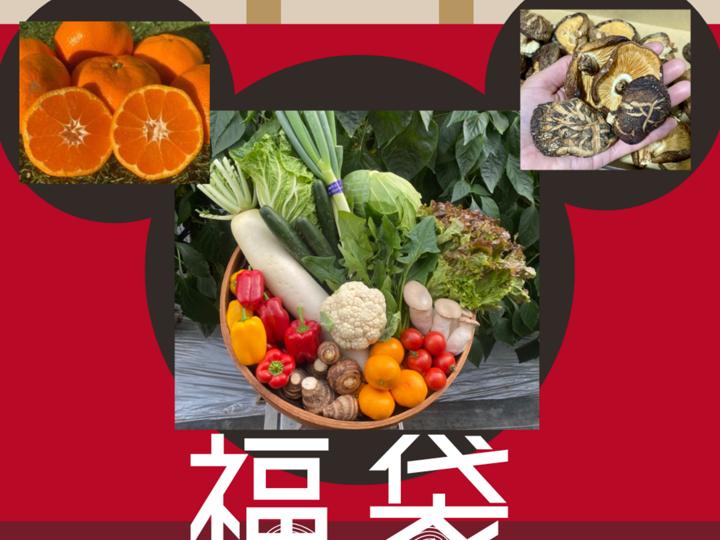 味の福袋　産直無農薬野菜、フルーツセット 味の福袋 産直無農薬野菜、フルーツセット