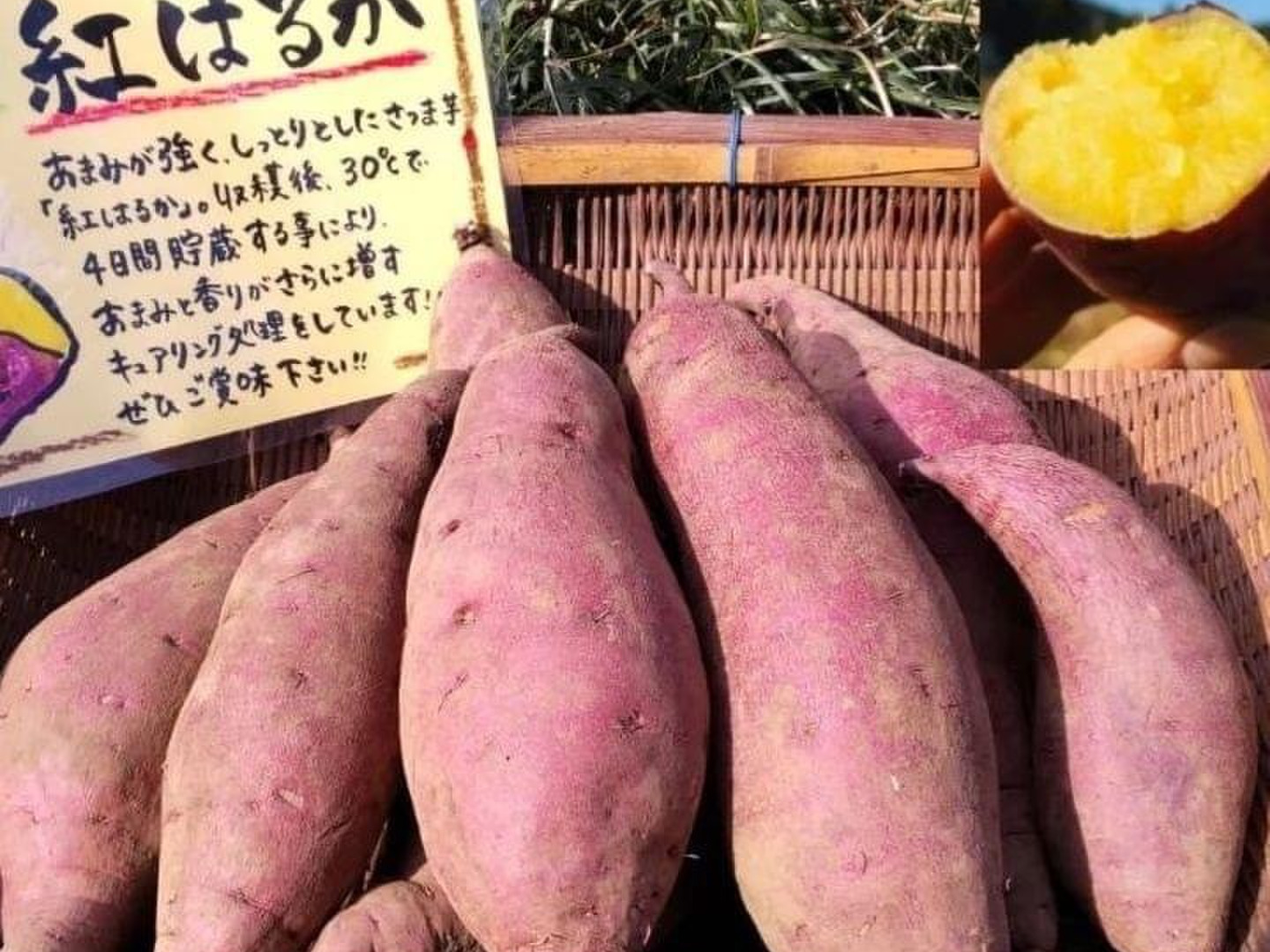 【オンライン限定商品】  81b0a00046fd3711d8fdd8bb973abd 野菜