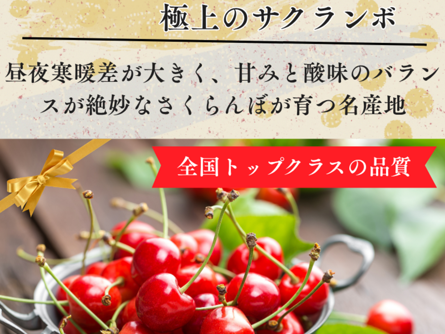 チルド便】採れたて さくらんぼ 甘い 旬800g 佐藤錦 紅秀峰 秋田