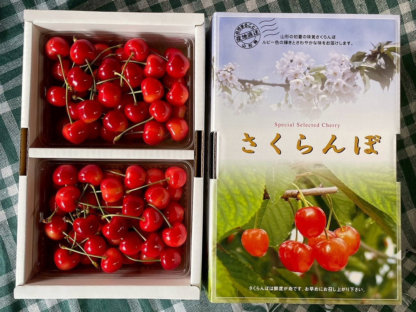 さくらんぼ やまがた紅王🍒さくらんぼ新品種！パックバラ500g2Lサイズ：山形県産の