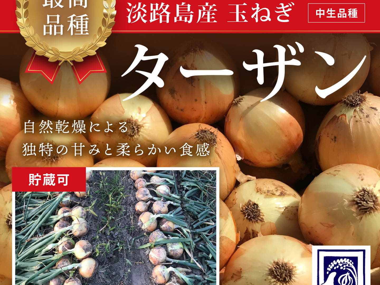 令和6年淡路島産玉ねぎ 最高品種 ターザン 10キロ：兵庫県産の