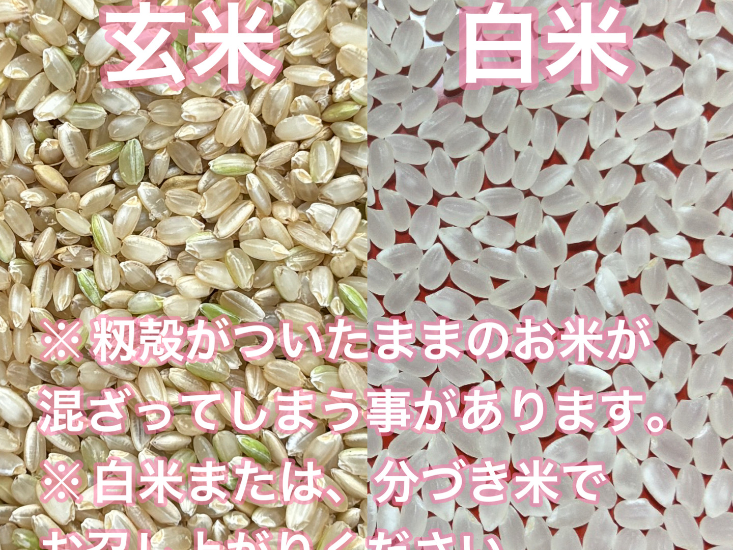 埼玉北川辺産【令和7年新米】コシヒカリ 玄米30kgキロ（精米不可