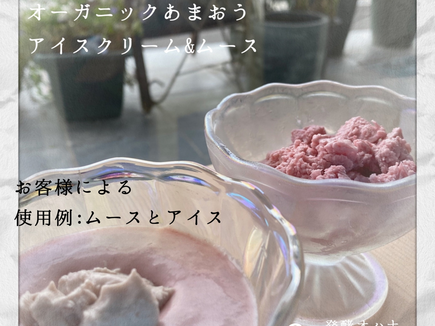 オーガニック冷凍あまおう500g ※4個まで送料同じ(ヤマト60サイズ