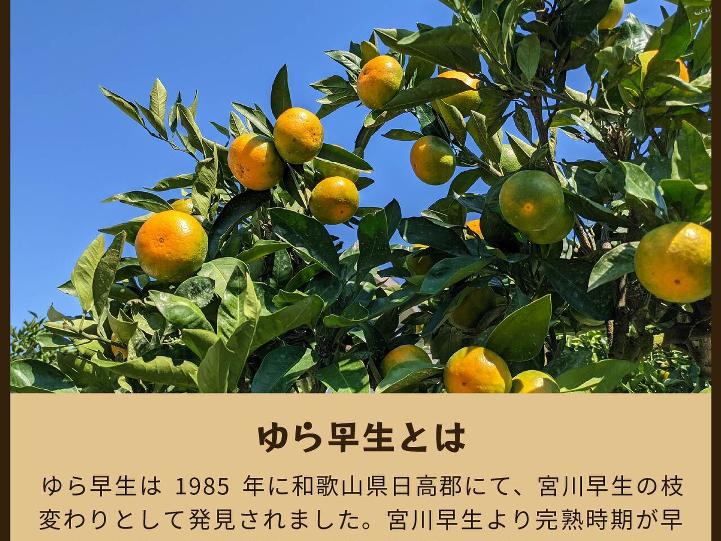 imgrc0104057047.jpg