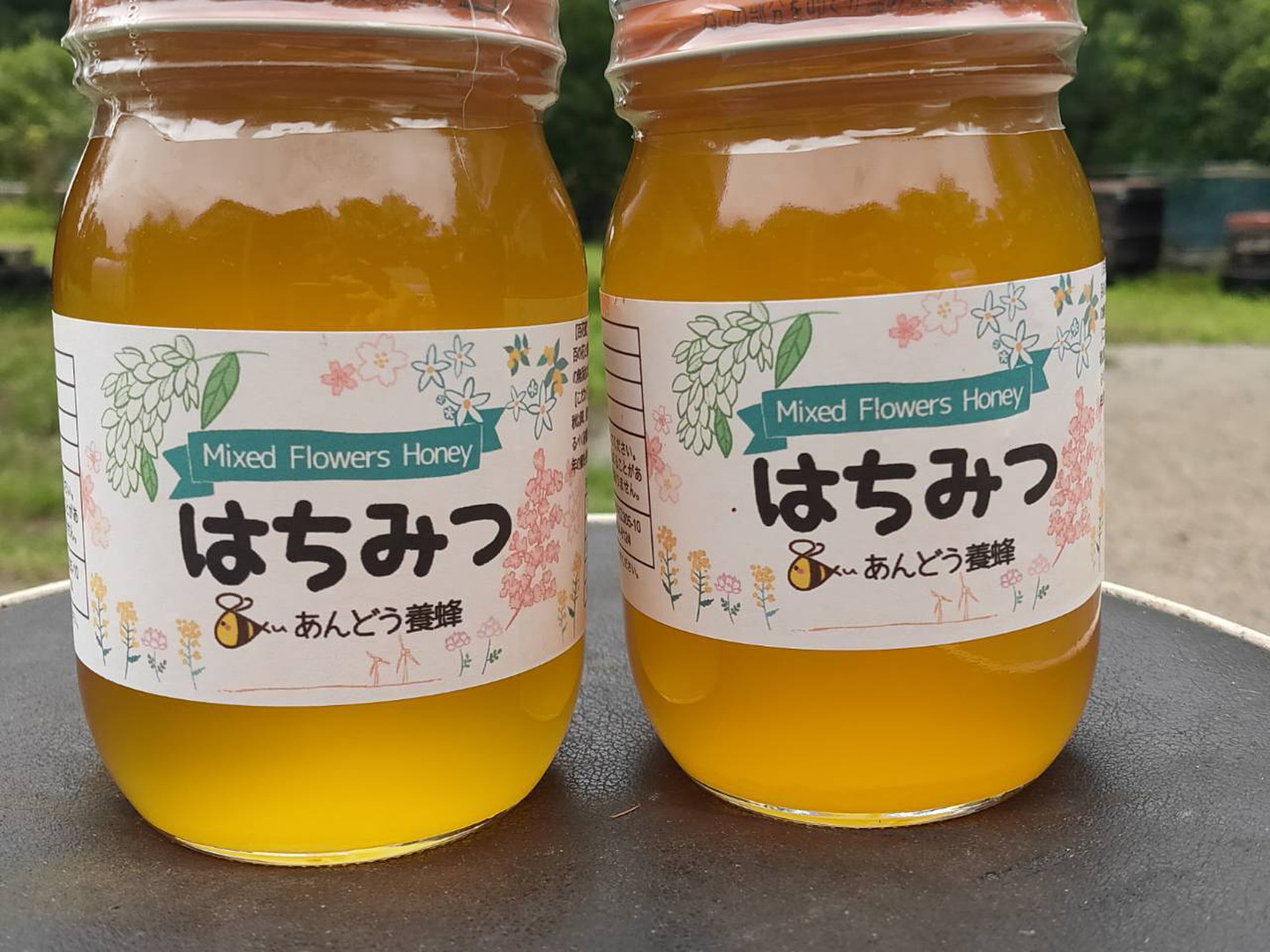 添加物なし】天然はちみつ 600g 蜂蜜 ハチミツ セイヨウミツバチ 国産：鳥取県産のはちみつ｜食べチョク｜産地直送(産直)お取り寄せ通販 -  農家・漁師から旬の食材を直送