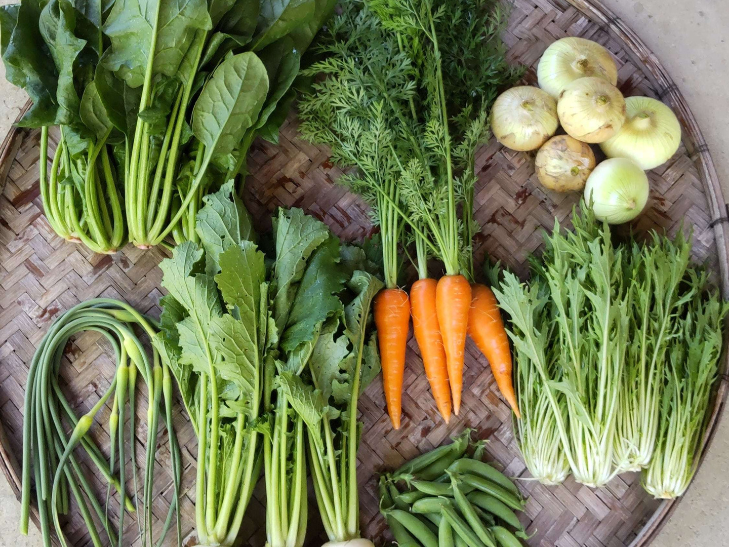 大学 割引 新鮮！旬の野菜セット ノーマルサイズ 4～8品「有機JAS認証 野菜