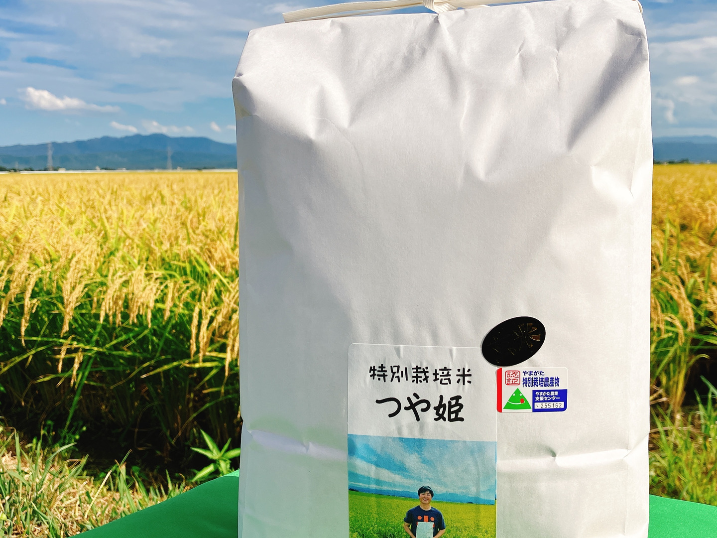 予約開始！！ 令和7年新米 庄内米つや姫玄米10キロ もちもち食