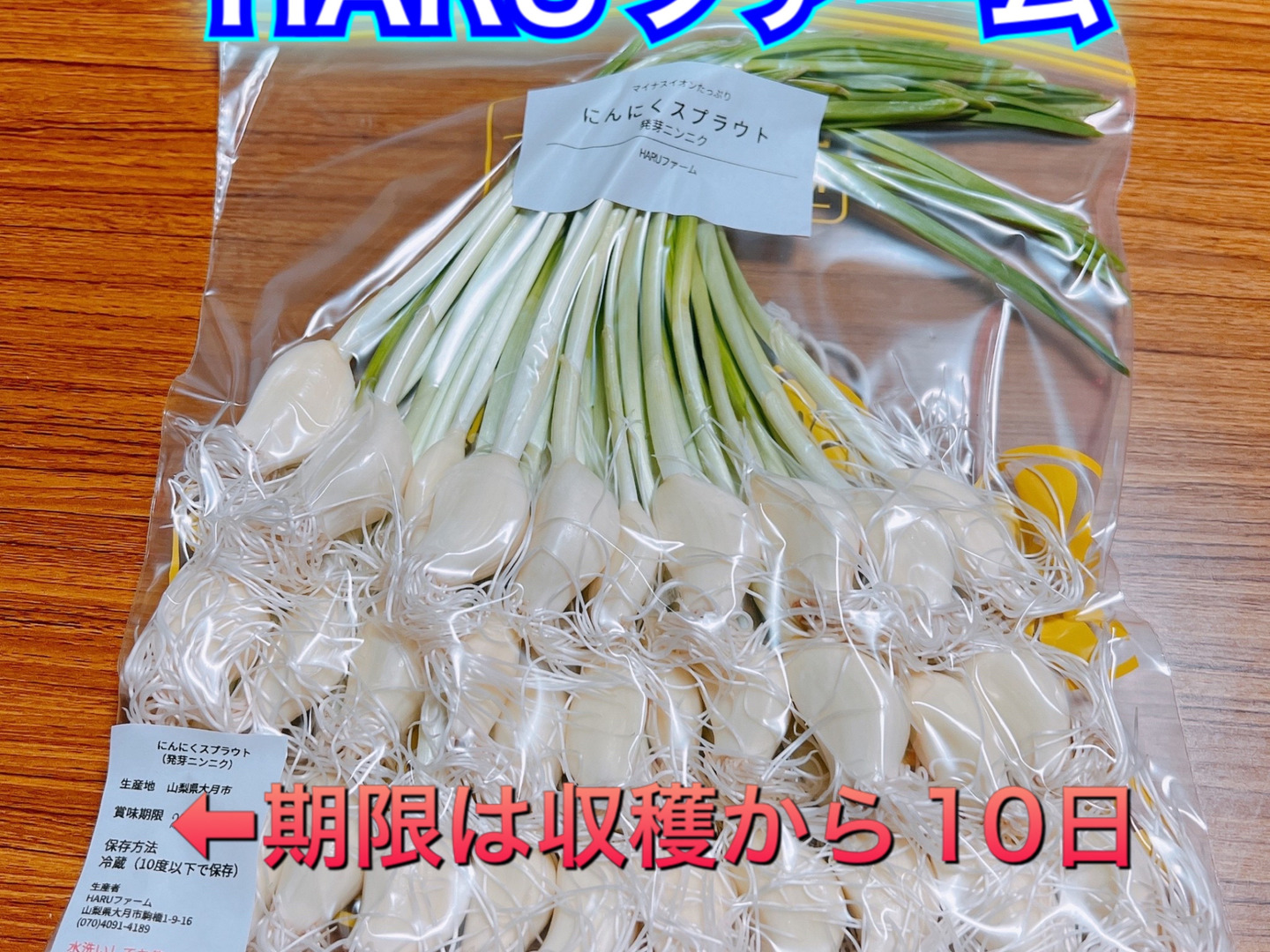在庫処分セール 言い換え 93f6803e7fcb78609e404263757f03 野菜