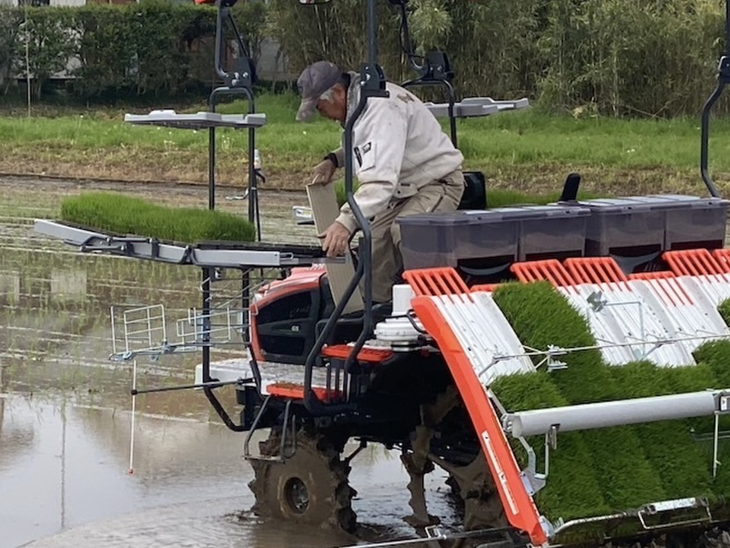 米実さん専用　青１３０００ 米袋 宝稲 5kg用 100枚セット【米袋のマルタカ公式通販】