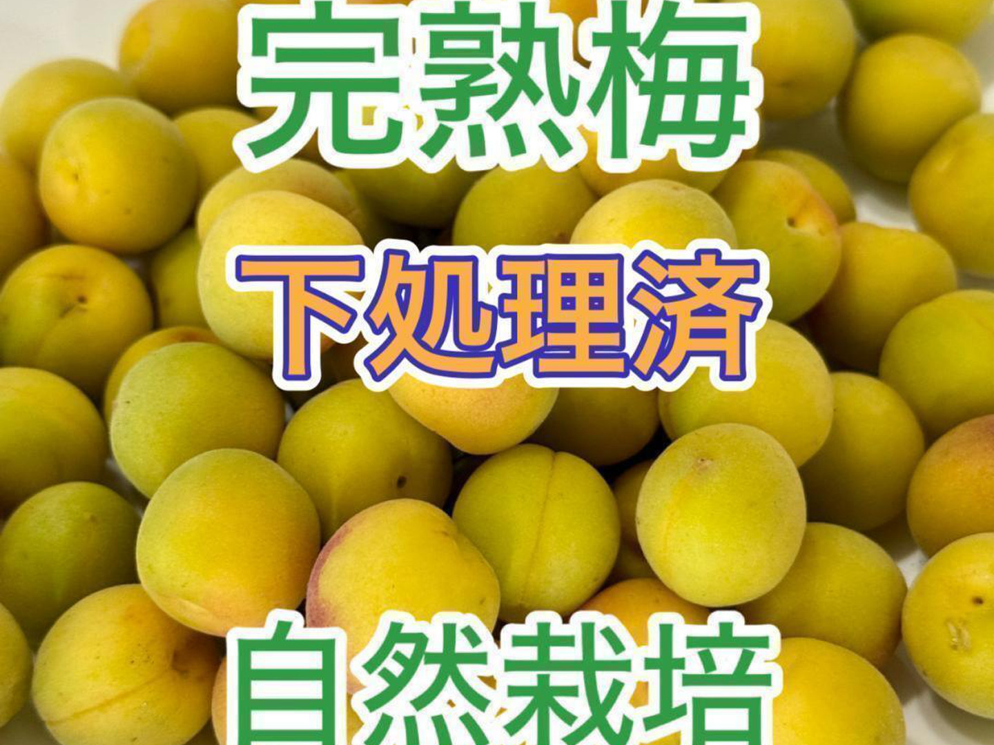 梅　Ｌサイズ多め約10kg 鹿児島県産　自然栽培 自然栽培 完熟梅（ありがうめ） 850g 下処理不要で梅仕事なんと3