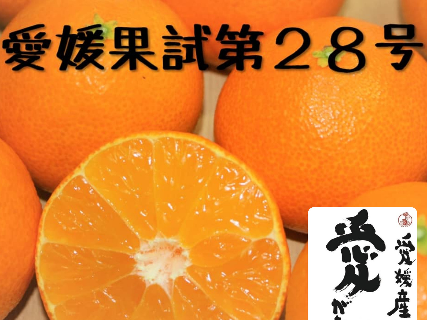 9775f15e86785cd1d199f0b95b6eb4