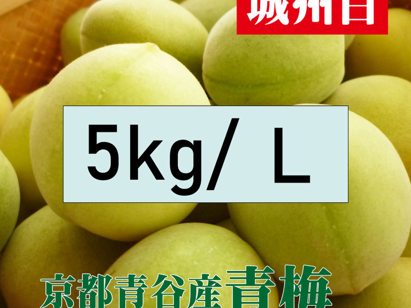 予約販売【青梅】京都青谷産「城州白」(5kg, L) 香りの良さが
