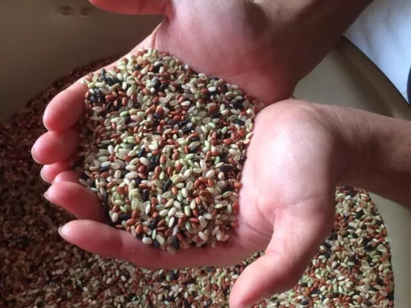 【玄米5kg白米2kg】スピカ！ 令和7年産 新米予約※《定期便5ヶ月》秋田県産 あきたこまち 25kg