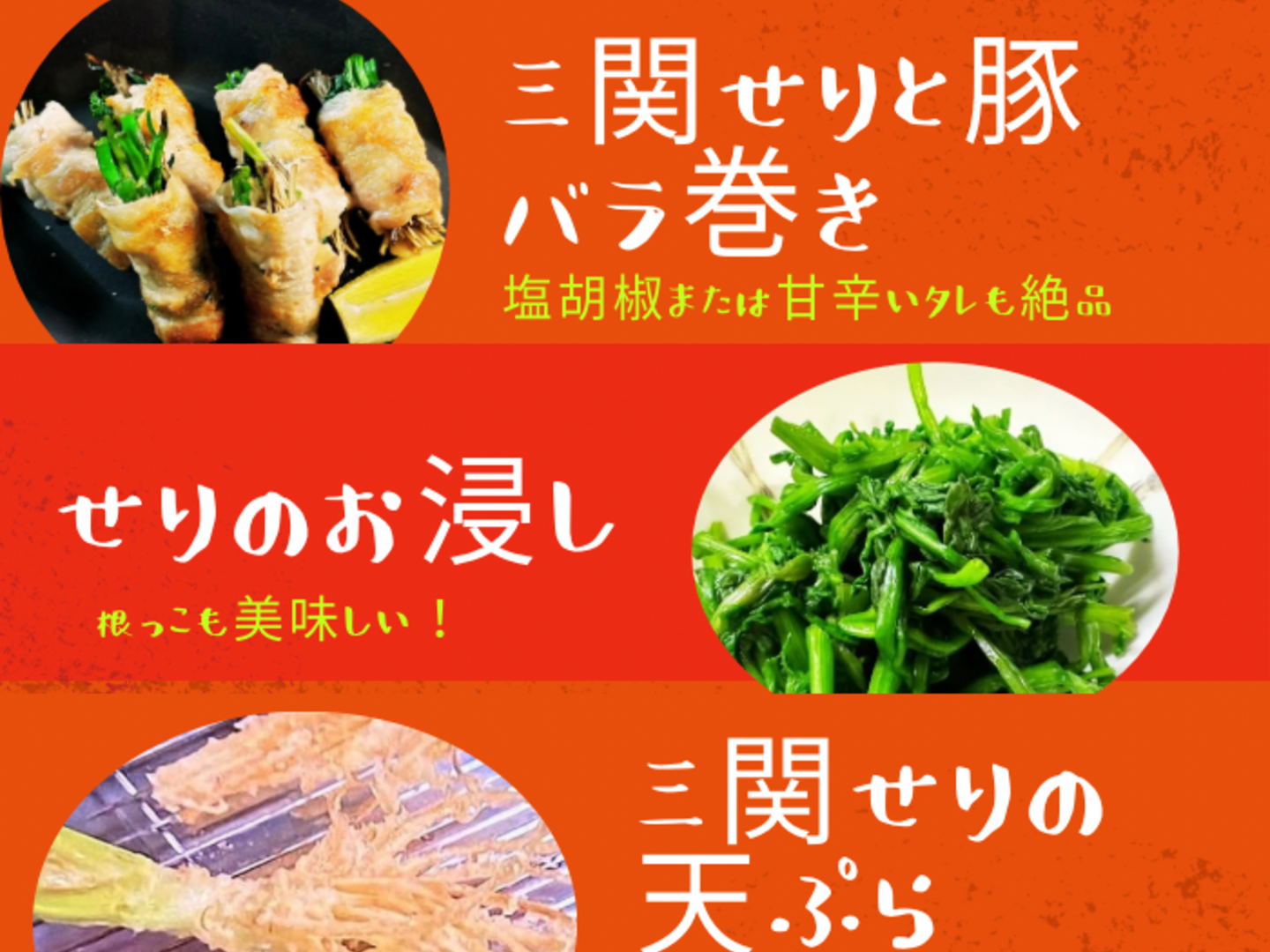 北限のせり 鍋 セリ鍋 きりたんぽ鍋 天ぷら 500g せり 三関産