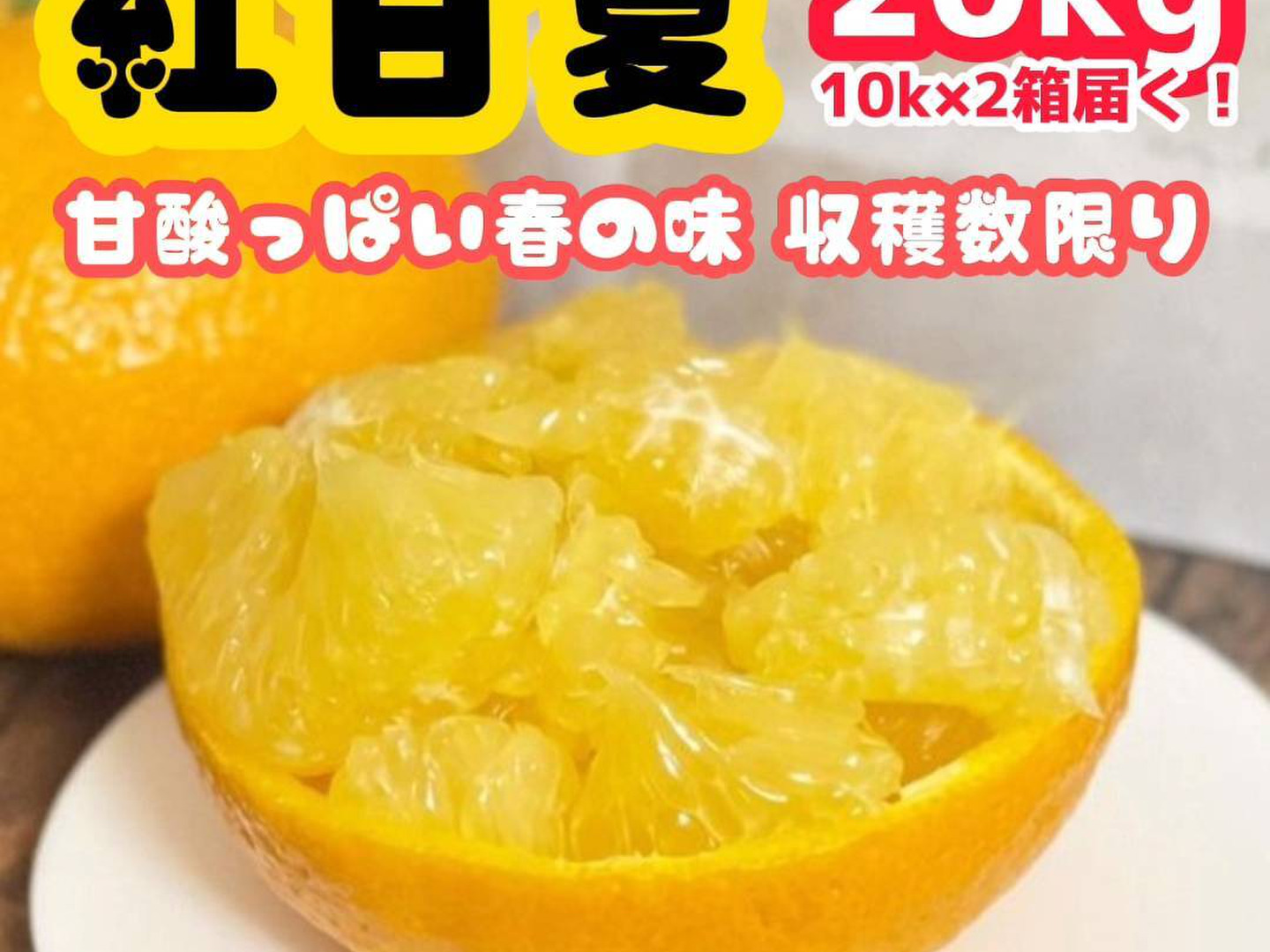 殿堂 超お得》20kg（2箱）1800円！『 紅甘夏 』初夏の味☆ 収穫数限定 果物