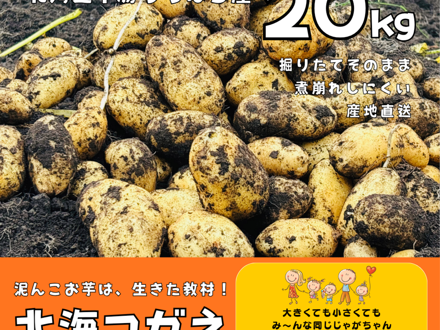 まとめてお得！季節限定］プロも指名する新じゃが「ホッカイコガネ」20