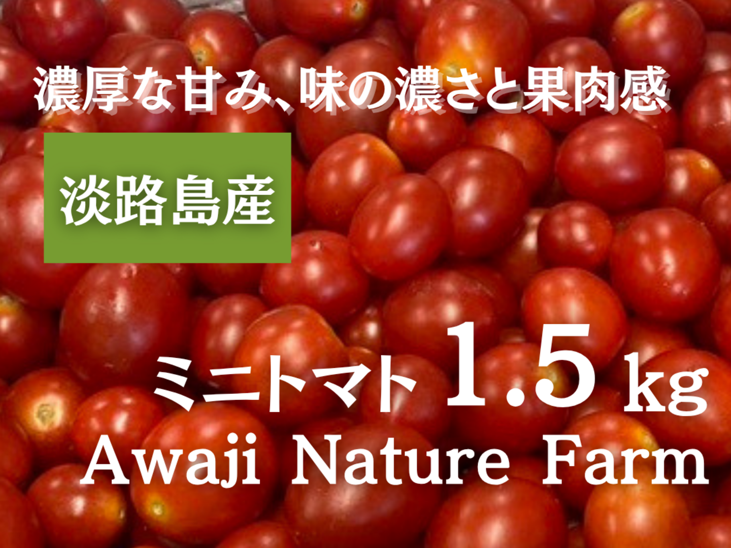 シクラメン　海の見える丘のトマト8Kg PW公式オンラインストア / シクラメン クレヨン バイオレット