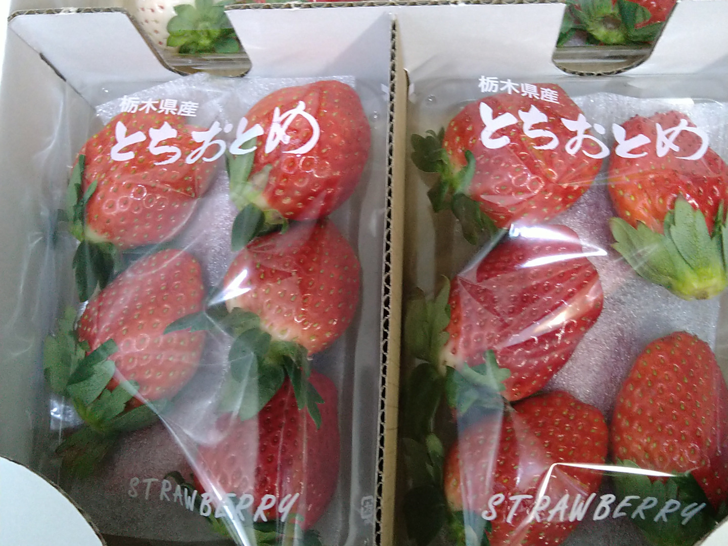 爆買いしたい とちおとめとスカイベリー、白いちごの食べ比べセット 【いちご ディナーセット