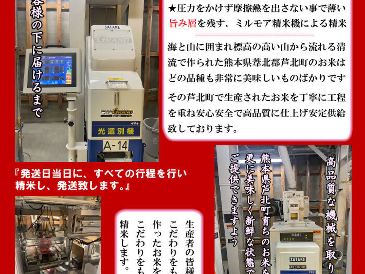 令和6年　白米15キロ 令和7年産米 新米【予約販売11月上旬より精米後順次発送】 米
