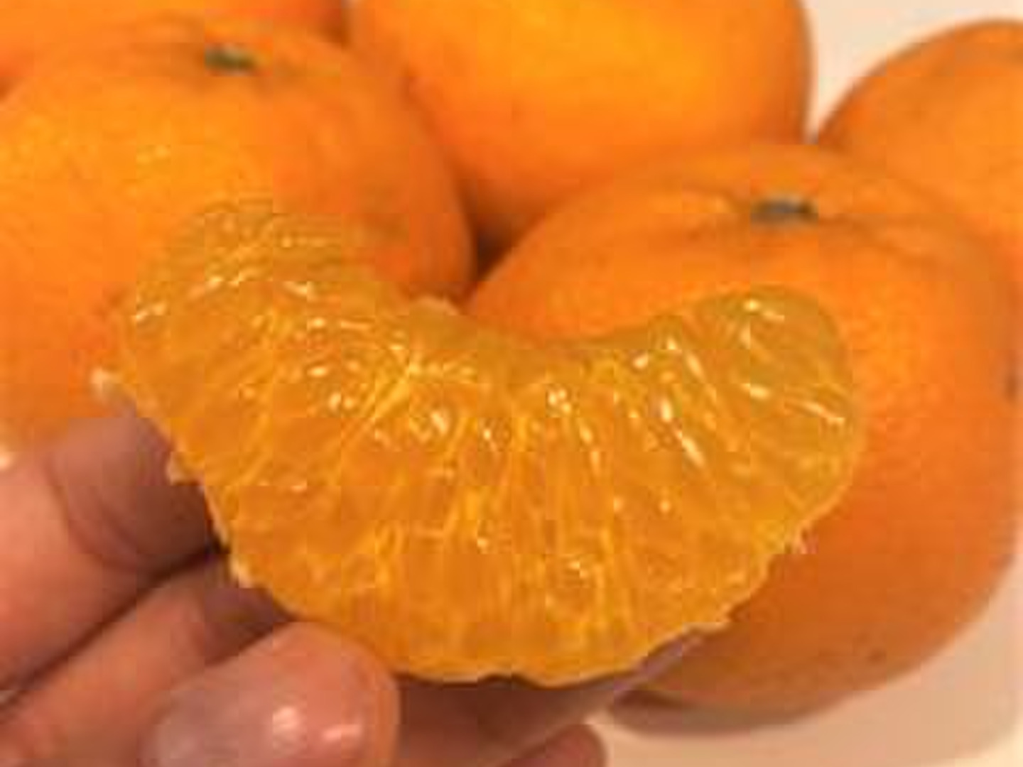 ポンカンと清見の良いとこどりっ！はるみみかん箱込み約2kg