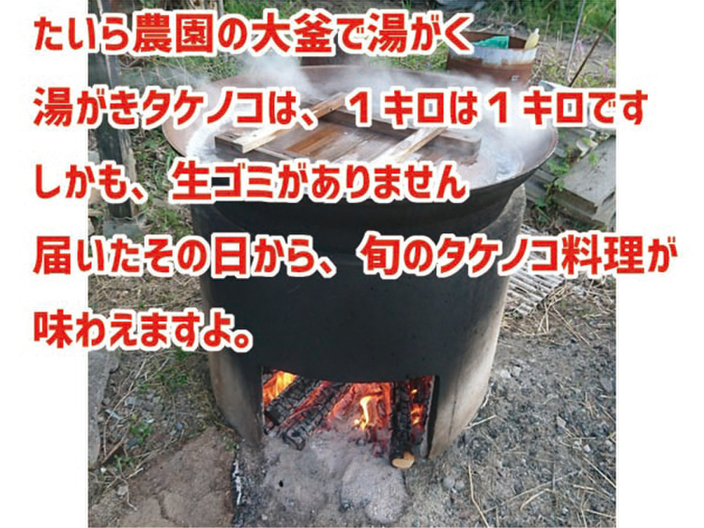 今期最終便】大釜湯がきたけのこ（1kg）：福岡県産の加工品