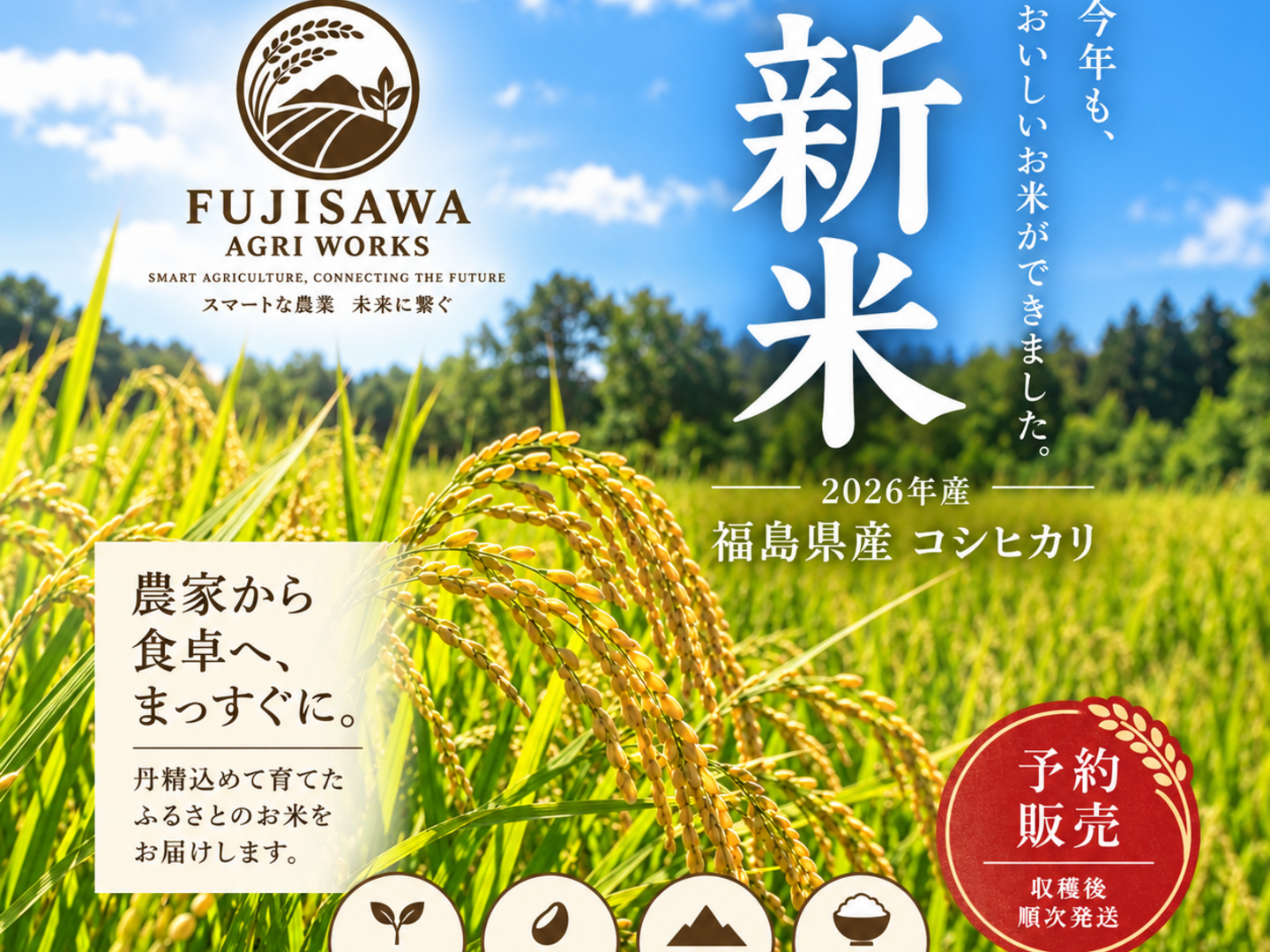2026年新米・予約販売】福島県産コシヒカリ 10kg /農家直送・精米した
