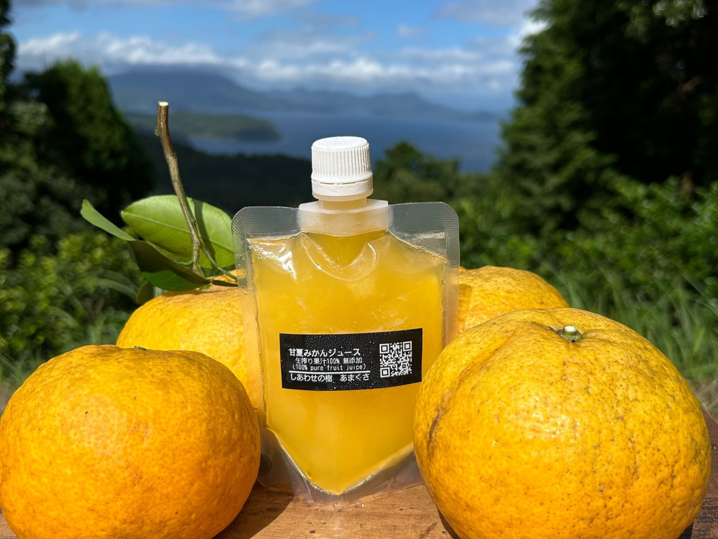 夏ギフト】冷凍甘夏みかんジュース6本セット（1本150ml）：熊本