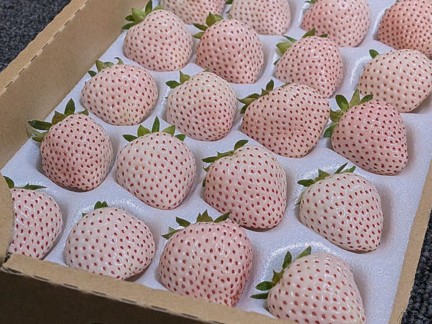 希少な夏の＜白いちご＞ 300g×2P【クール便】：長野県産の天使のいちご