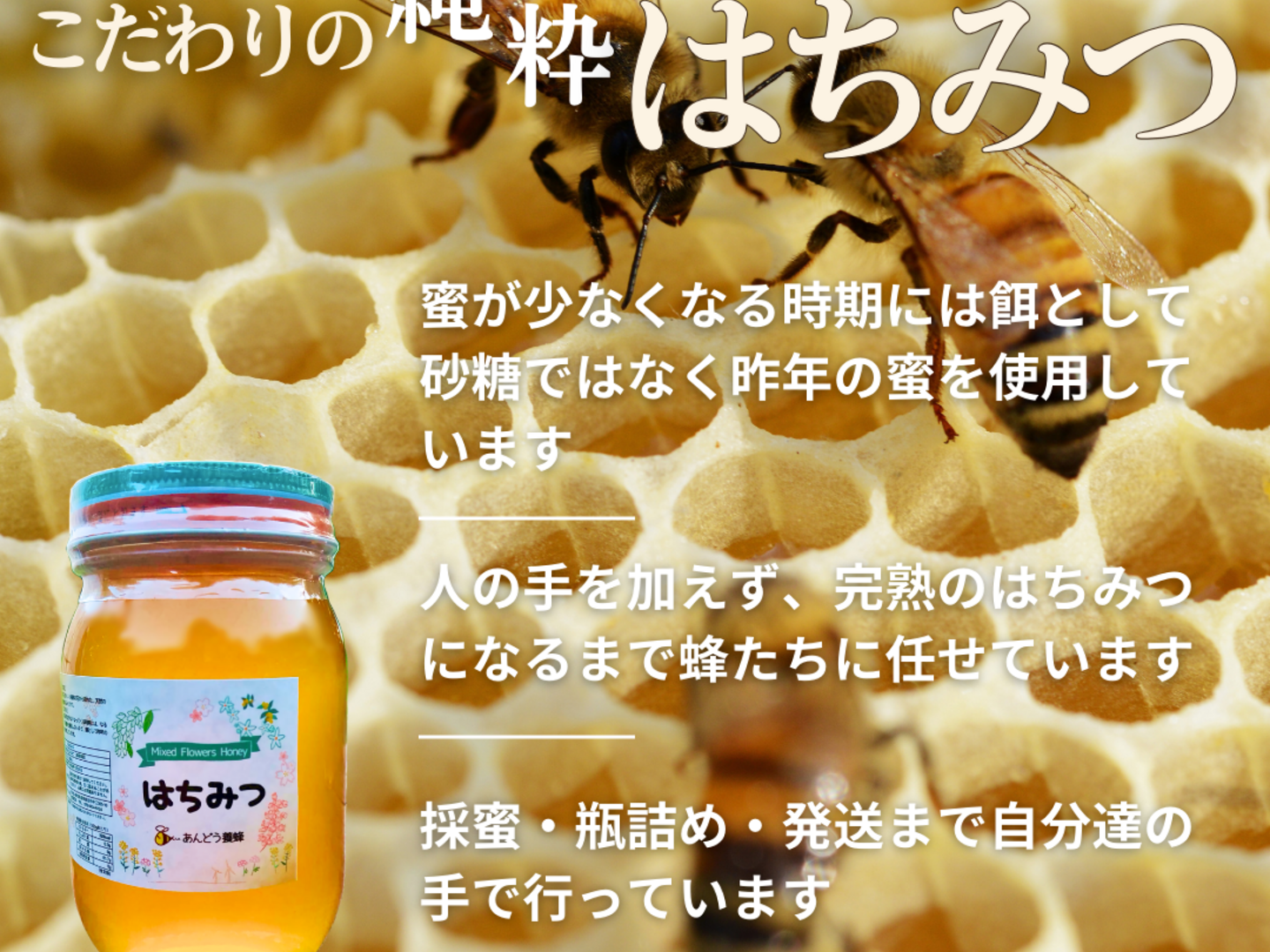 添加物なし】天然はちみつ 600g 蜂蜜 ハチミツ セイヨウミツバチ 国産：鳥取県産のはちみつ｜食べチョク｜産地直送(産直)お取り寄せ通販 -  農家・漁師から旬の食材を直送
