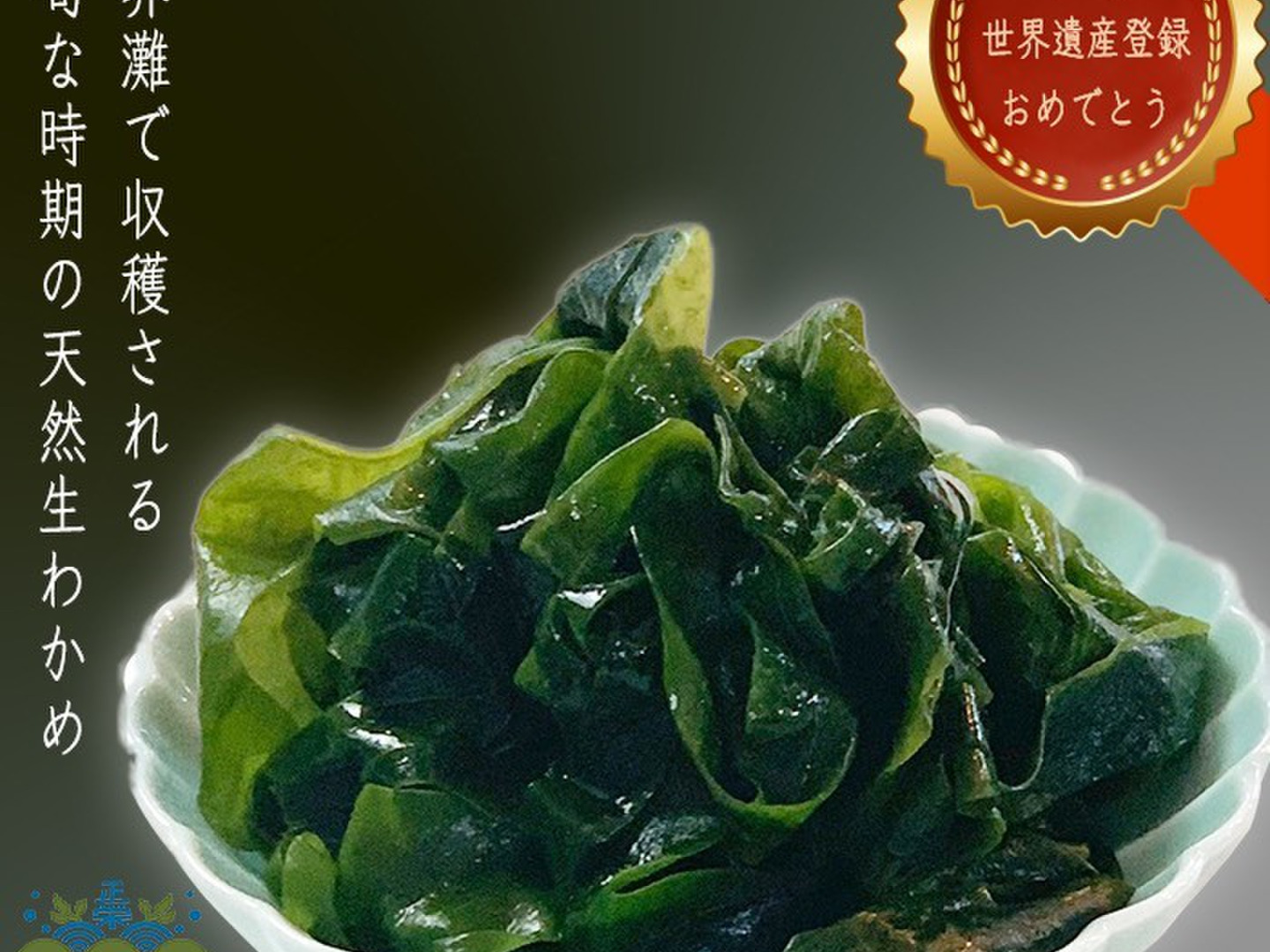 特価 玄界灘産 天然塩蔵 わかめ15袋：福岡県産のワカメ｜食べチョク その他 加工食品