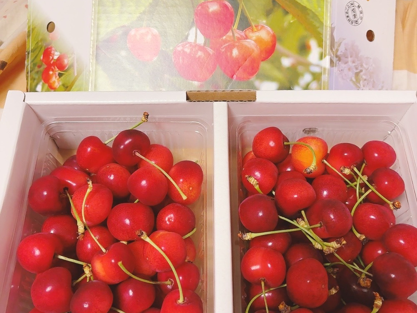 感謝SALE】やまがた紅王🍒さくらんぼ新品種！パックバラ1kg2Lサイズ