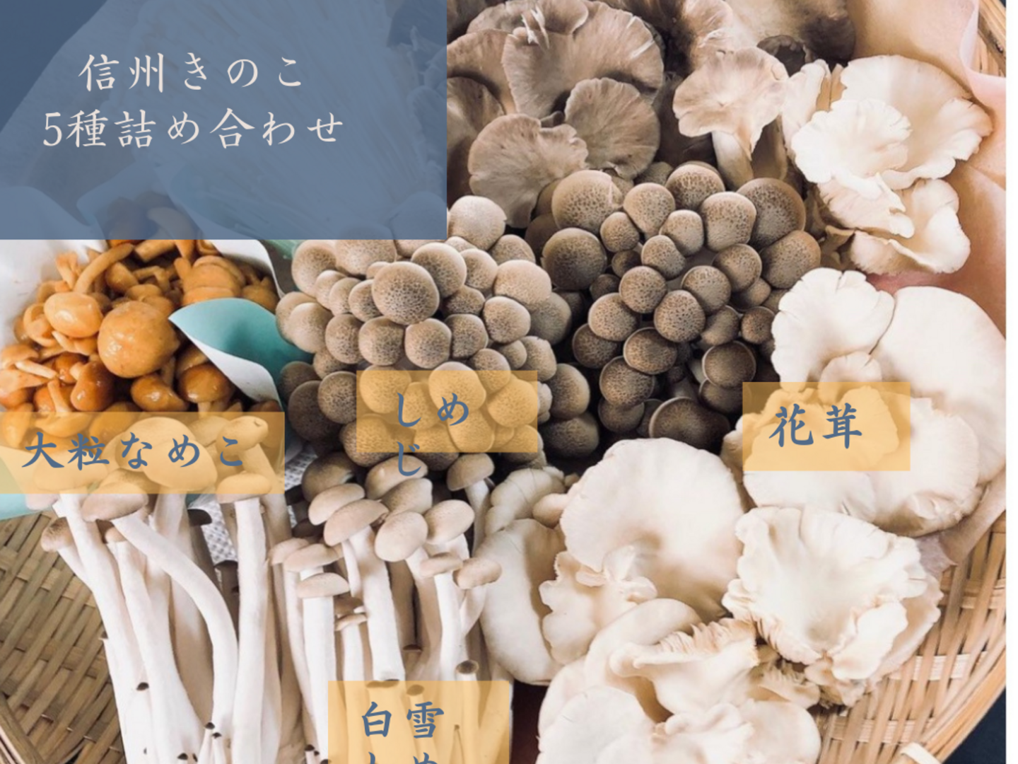 b2f9f9cdfff05db662cc4b8aac5277