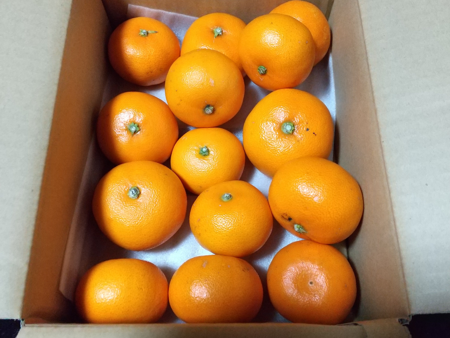 柑橘の大トロ！】せとか（ご家庭用・2㎏）×2箱：愛媛県産の