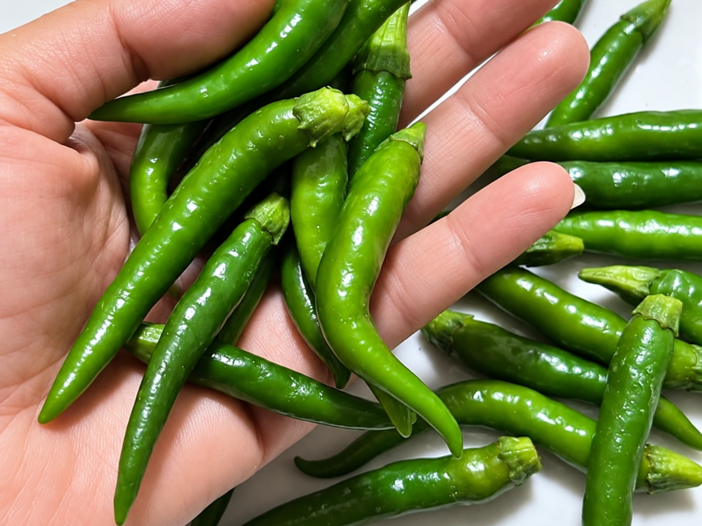 産地直送の岡山県産の青唐辛子を50g：岡山県産のその他唐辛子｜食べ
