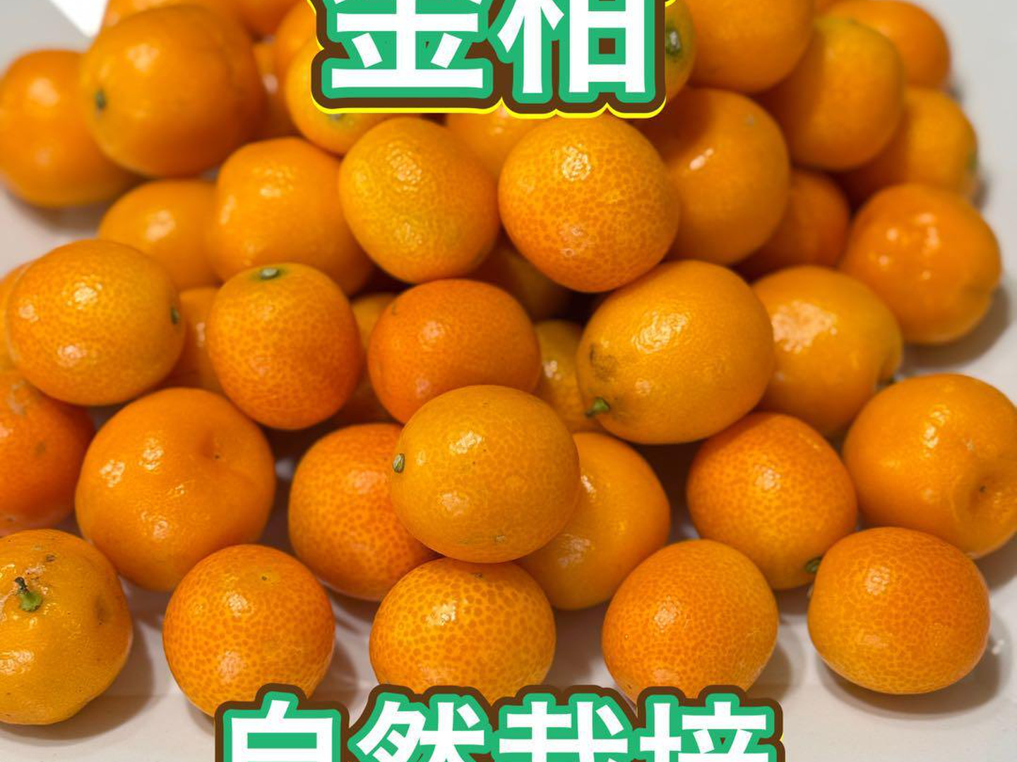 売れ筋・人気アイテム 商品 金柑（粒大きめ）自然栽培 、皮ごとまるかじりOK！甘みが 約1kg 果物