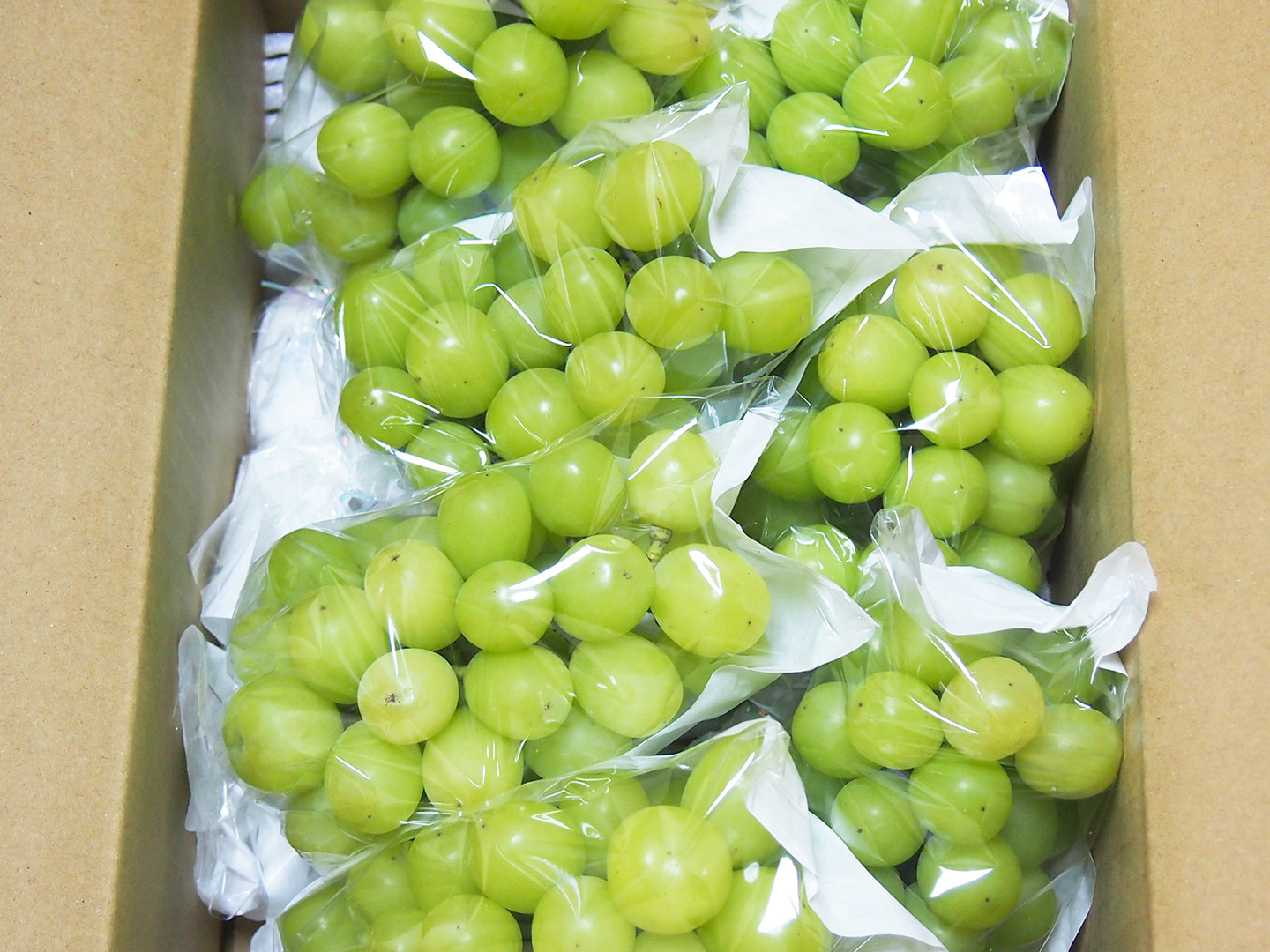 糖度抜群！長野県産シャインマスカット 4kg 予約販売【国内大手百貨店取扱農園】☆シャインマスカット 1.1kg