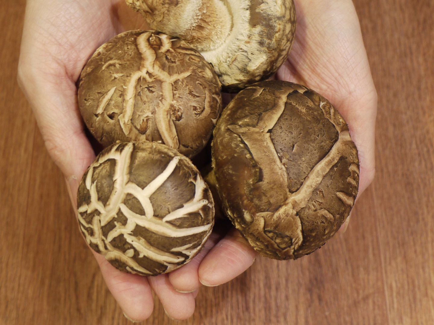 誕生日プレゼント 人気品種115/山のアワビ】原木椎茸 約1.8Kg 原木栽培生椎茸 野菜