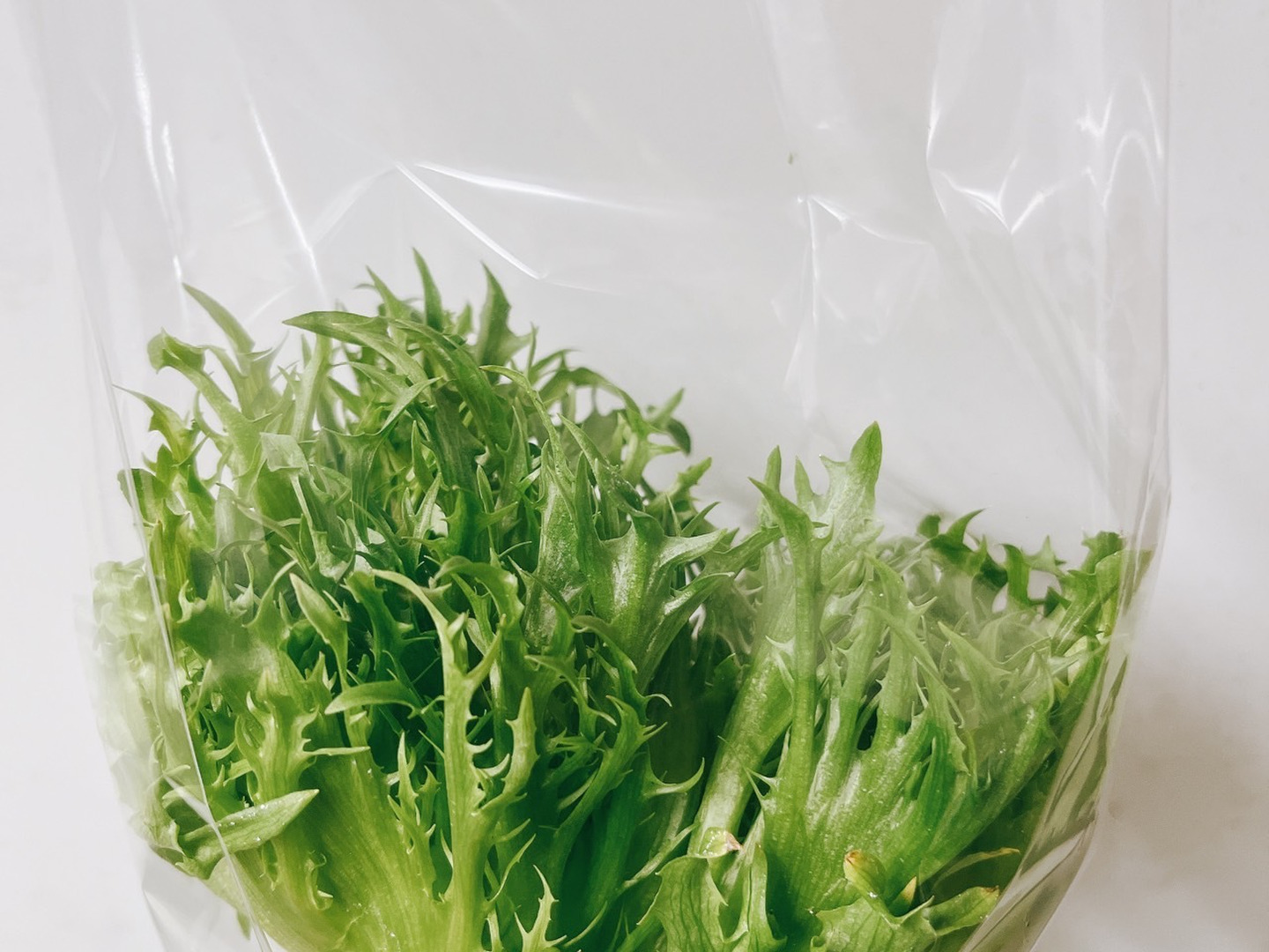 農薬不使用】極上レタスお試しパック（サラダ約8食分）硝酸態窒素大幅カット！：茨城県産のその他レタス｜食べチョク｜産地直送(産直)お取り寄せ通販 -  農家・漁師から旬の食材を直送