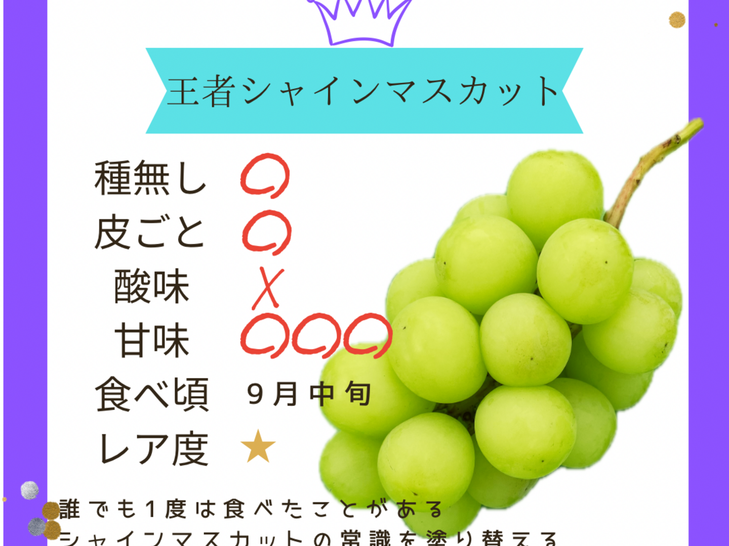 A 山梨県産ぶどう　4種食べ比べ　約2.6キロ 大房『希少品種ぶどう食べ比べセット』全4種類（品種は完全