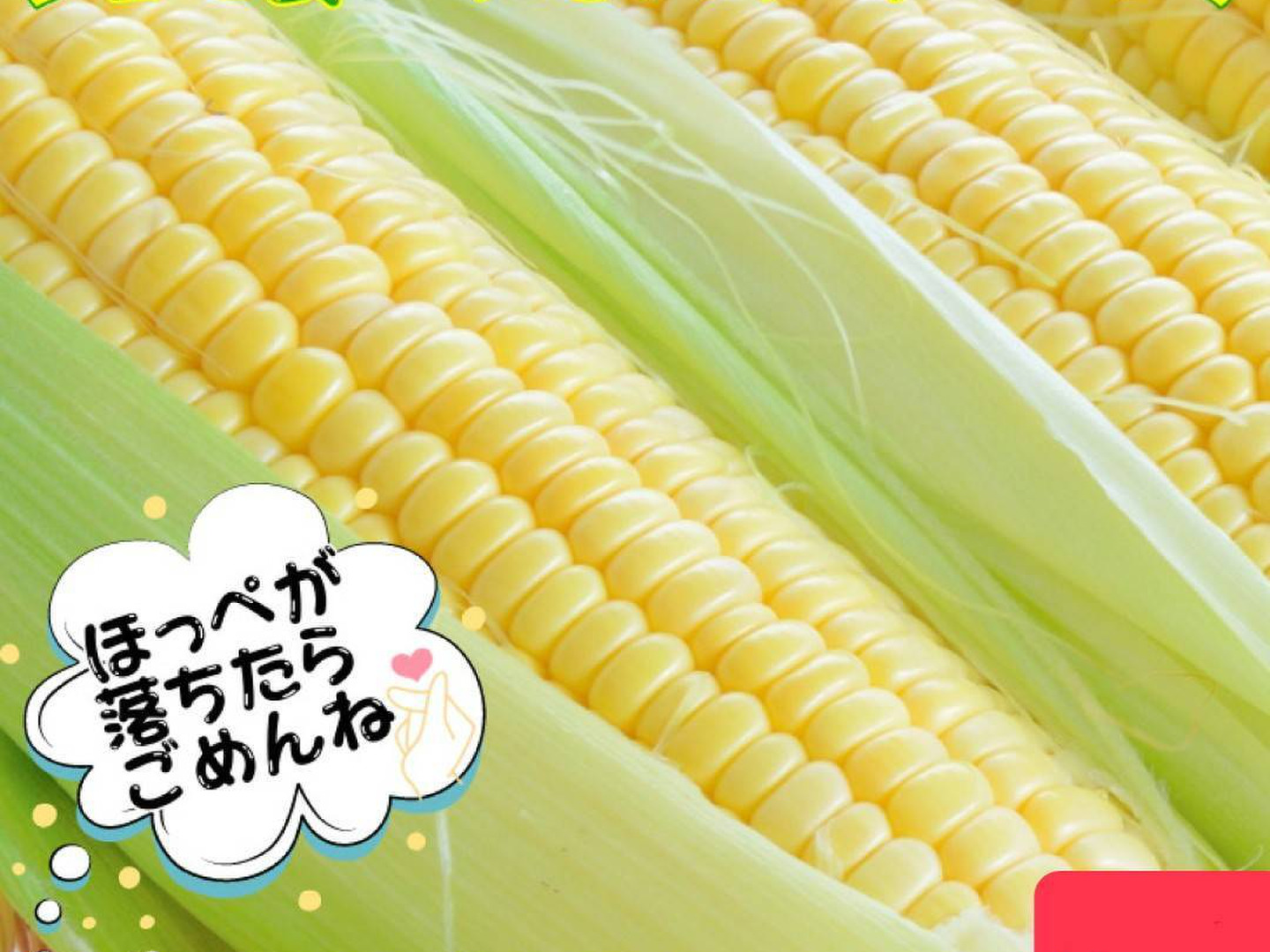 ゴールドラッシュ！（7/5日頃〜順次発送）11本～14本 約4㎏ 生