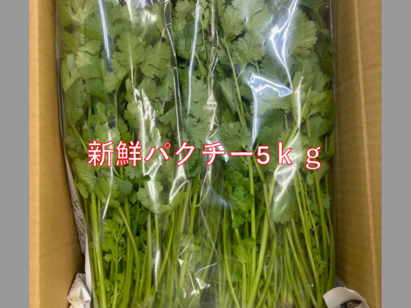 新鮮なパクチー5キロ 新鮮香り豊かなパクチー！！ 5kg：広島県産の香香｜食べチョク