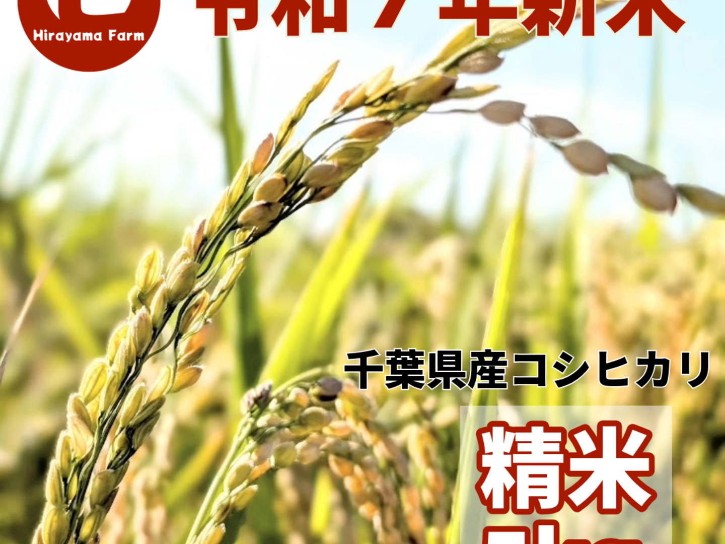 農家直送　6800円！ 楽天市場】【ふるさと納税】いちごさん （600g・1200g