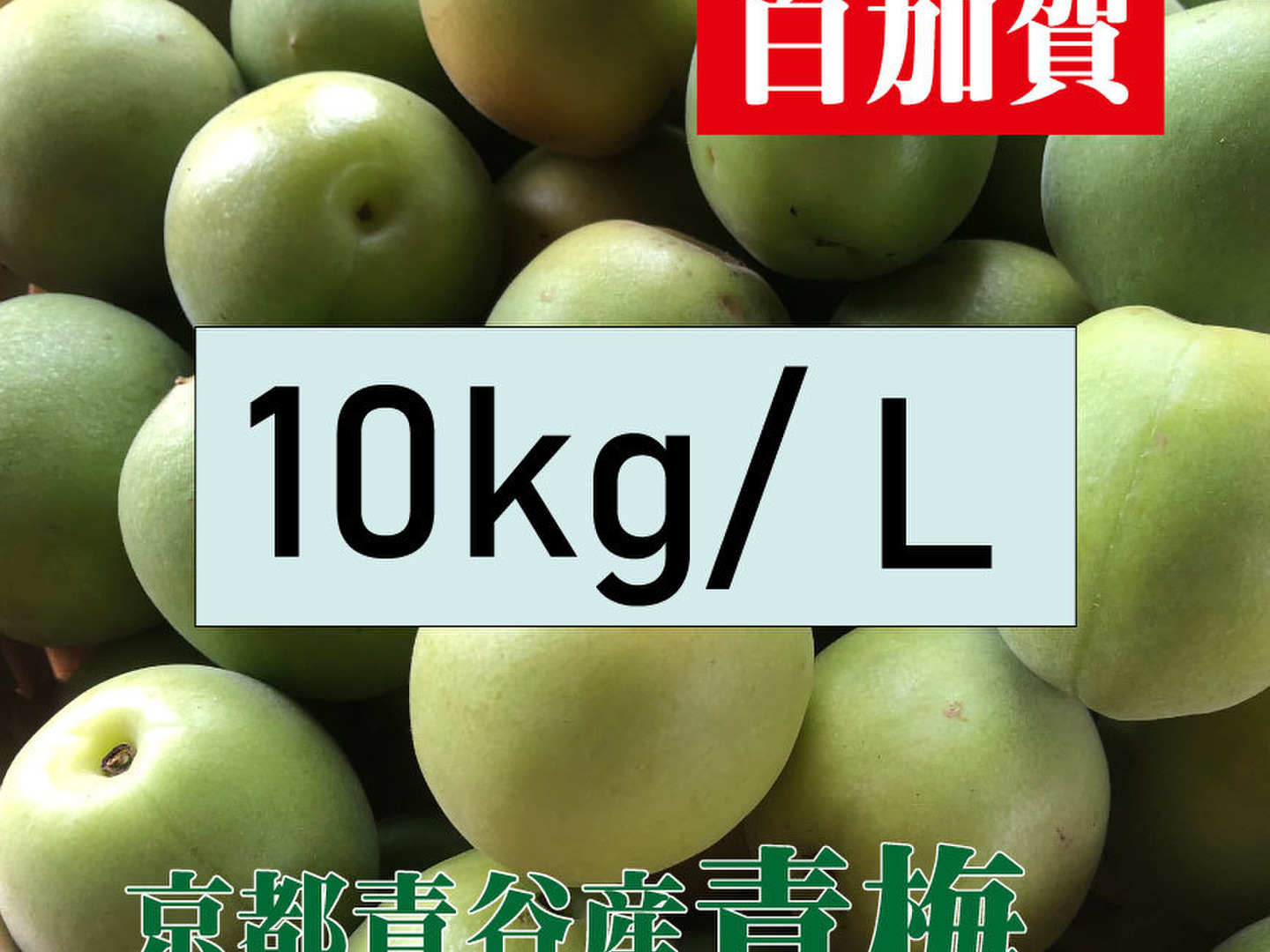 青梅　白加賀　B級品　20キロ 楽天市場】青梅 白加賀の通販